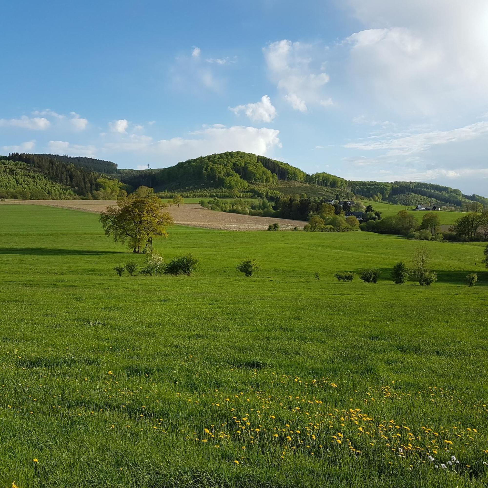 Freundliche Unterkunft Sauerland Meschede Exteriör bild