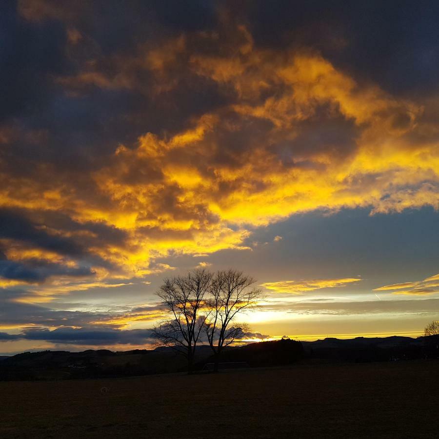 Freundliche Unterkunft Sauerland Meschede Exteriör bild