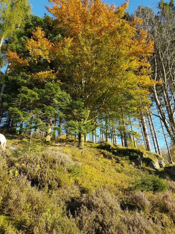 Freundliche Unterkunft Sauerland Meschede Exteriör bild